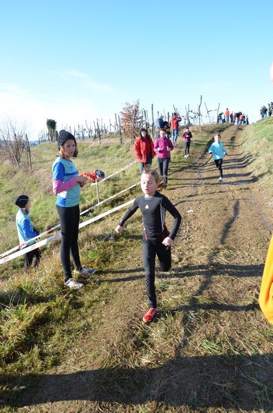 Tek Biljanski gri 269 i 048